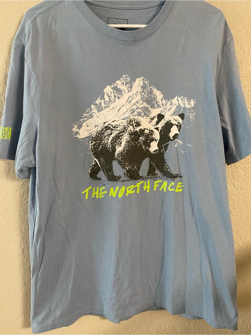 The North Face Men's Blue Bear Graphic Tee